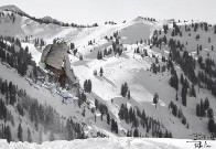Grizzly Gulch Snowboarder - Alta, Utah - IMG_8853 Grizzly Gulch Snowboarder - Alta, Utah - IMG_8853