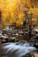 Big Cottonwood Creek in Fall - Big Cottonwood Canyon, Utah Big Cottonwood Creek in Fall - Big Cottonwood Canyon, Utah
