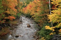 Ellis River Autumn Colors - Jackson, New Hampshire Ellis River Autumn Colors - Jackson, New Hampshire - bp0146