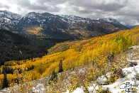 Autumn Colors and Snow in Mill F - Big Cottonwood Canyon, Utah Autumn Colors and Snow in Mill F - Big Cottonwood Canyon, Utah - bp0187