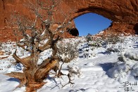 North Window in Winter Snow - Arches National Park, Utah North Window in Winter Snow - Arches National Park, Utah