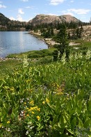 Clyde Lake and Wildflowers - Uinta Mountains - Utah Clyde Lake and Wildflowers - Uinta Mountains - Utah